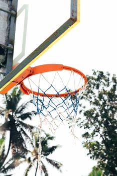 A vibrant outdoor basketball hoop with a net against a background of palm trees, highlighting a tropical vibe.