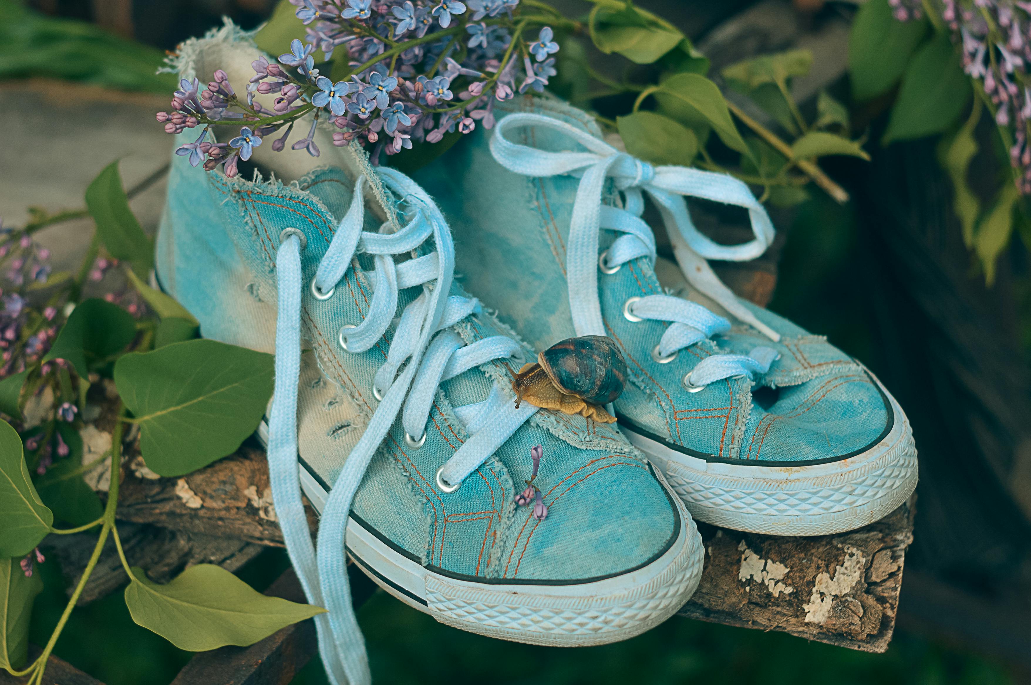 Blue sneakers with a snail and lilac flowers in a rustic outdoor setting.