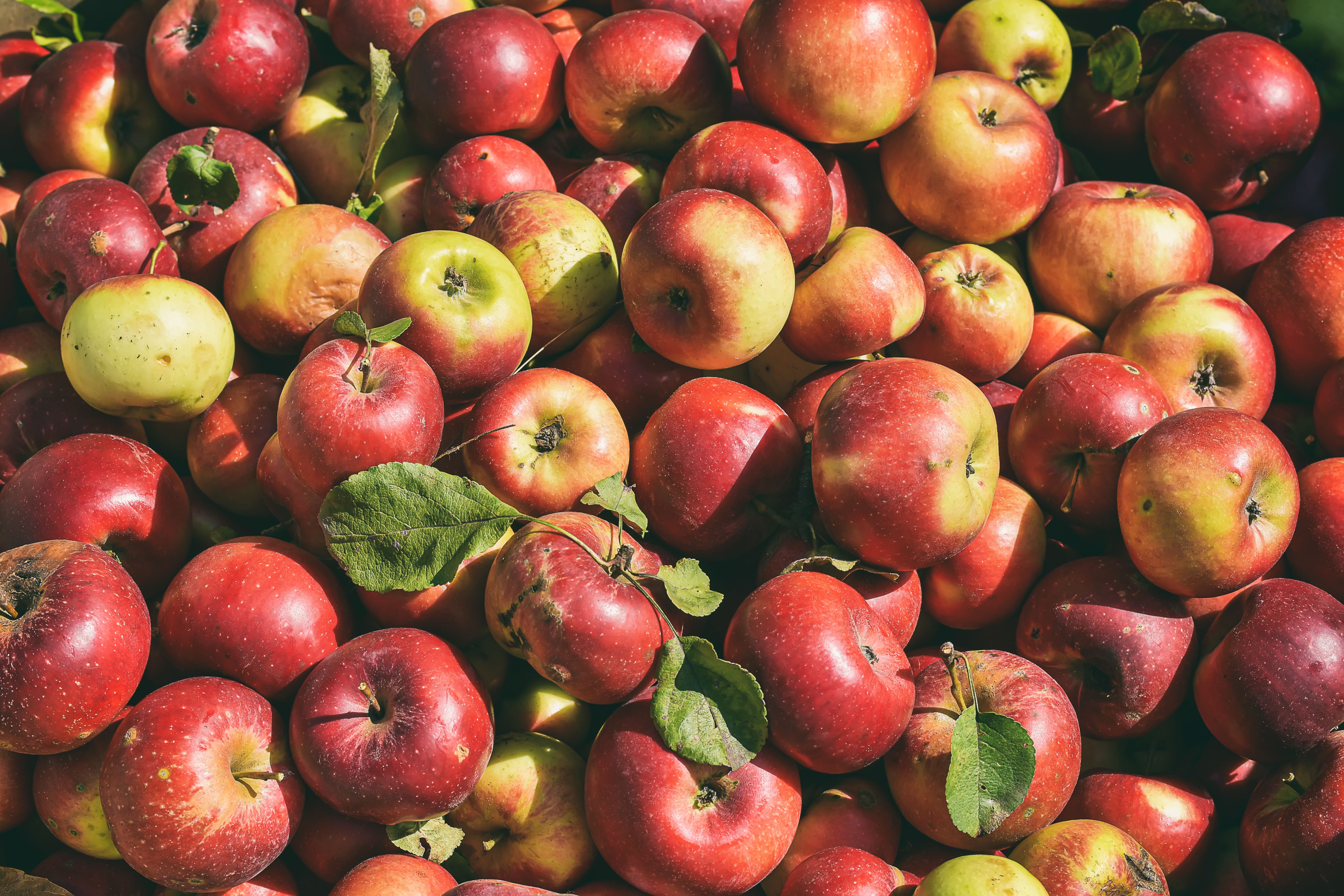Nutrition Scientists Explain Apple Cider Vinegar Benefits For Weight Loss [fFWTwY25SqE] — Photo by Виктория Билан on Pexels