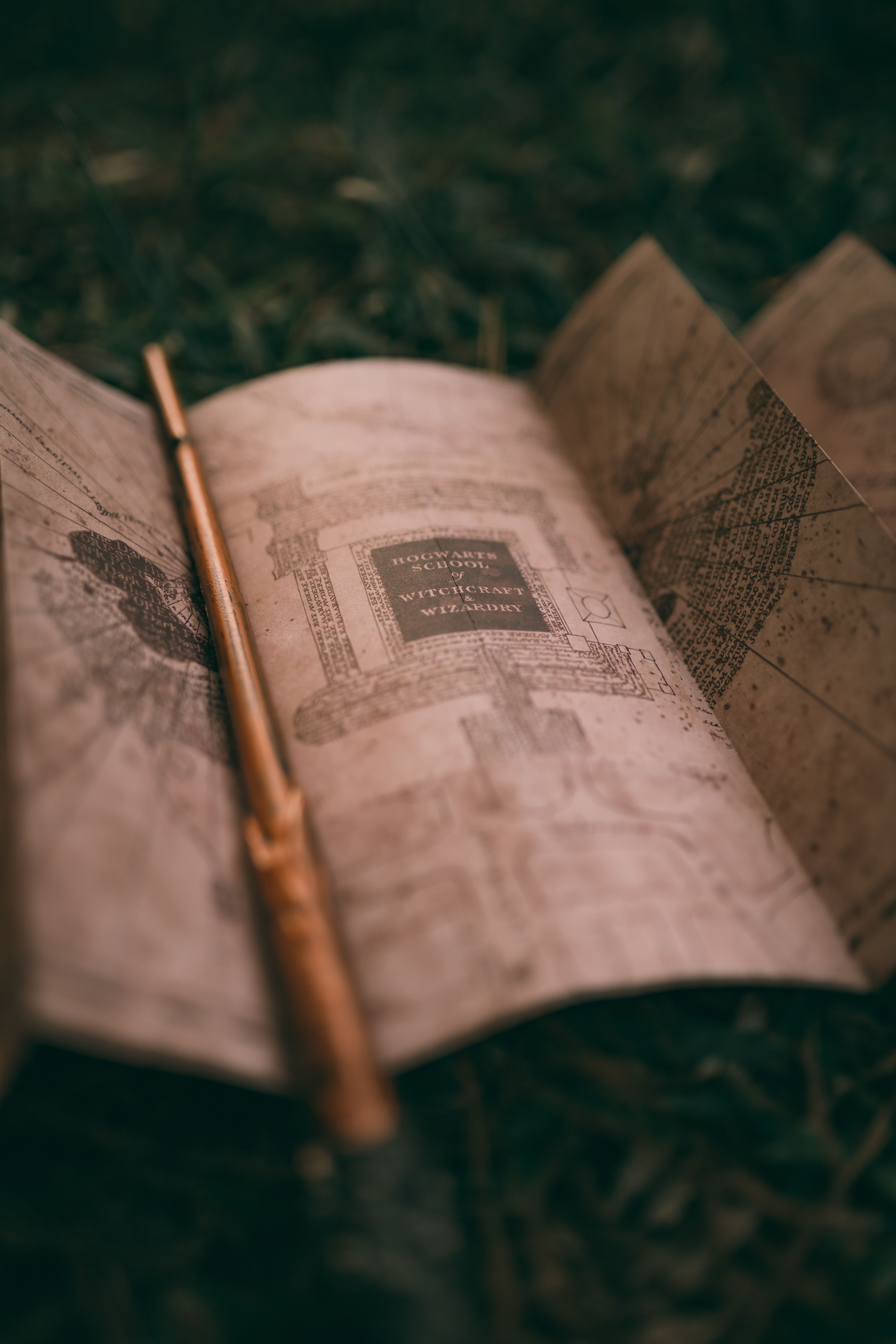 Antique map and wand resting on grass, evoking mystery and adventure.