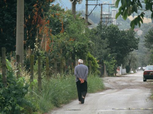 Free A senior man strolls down a quiet village road surrounded by lush greenery. Stock Photo