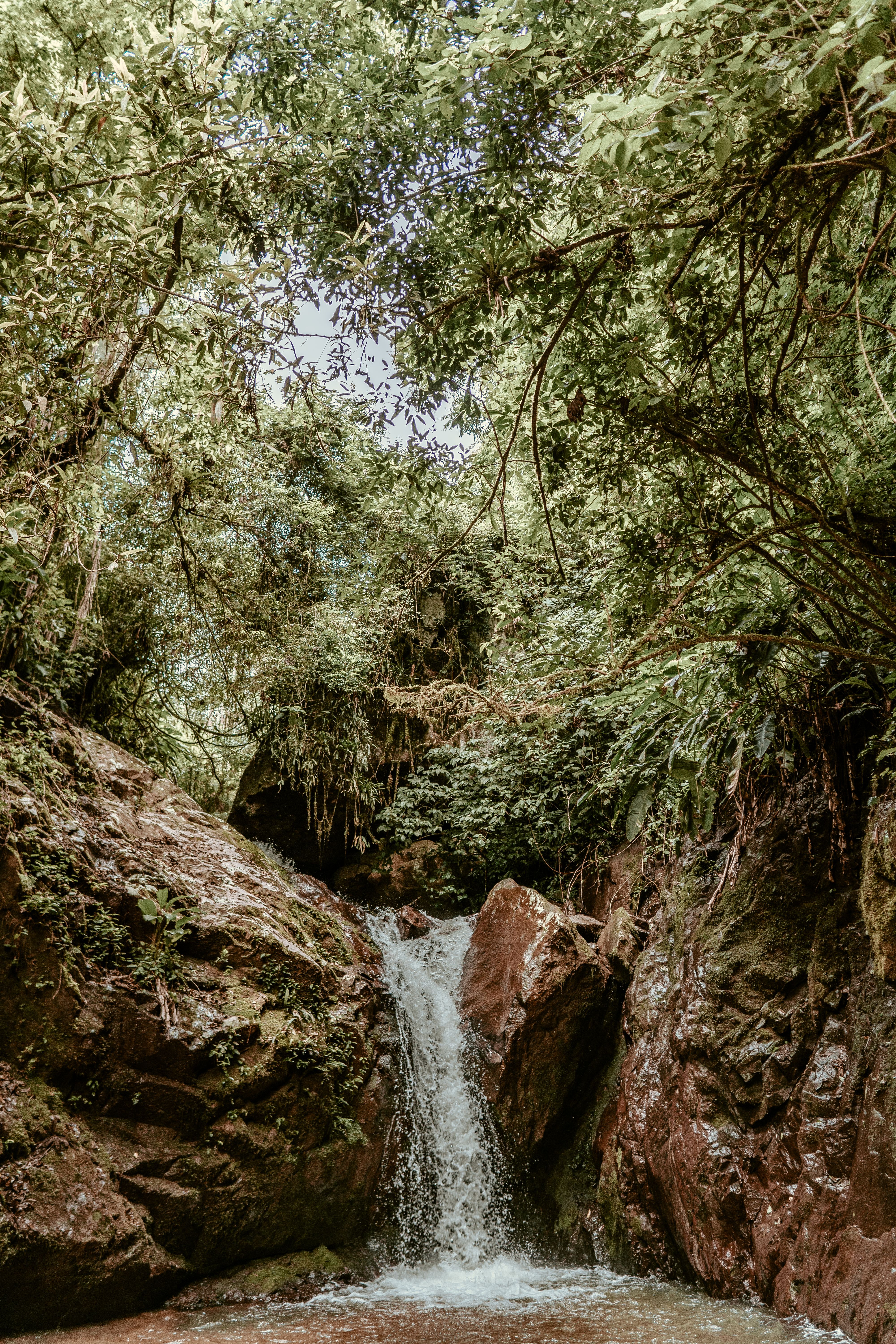 Peaceful waterfall cascading in a forest, with lush green foliage and mossy rocks.