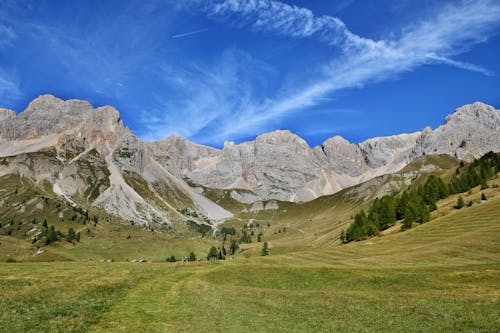 Foto profissional grátis de alpino, caminhar, grama