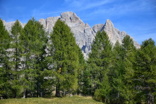 Landscape in the Dolomites in Italy