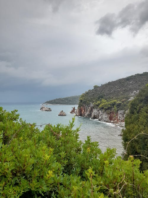 Scenic Seascape with Rocky Coastline