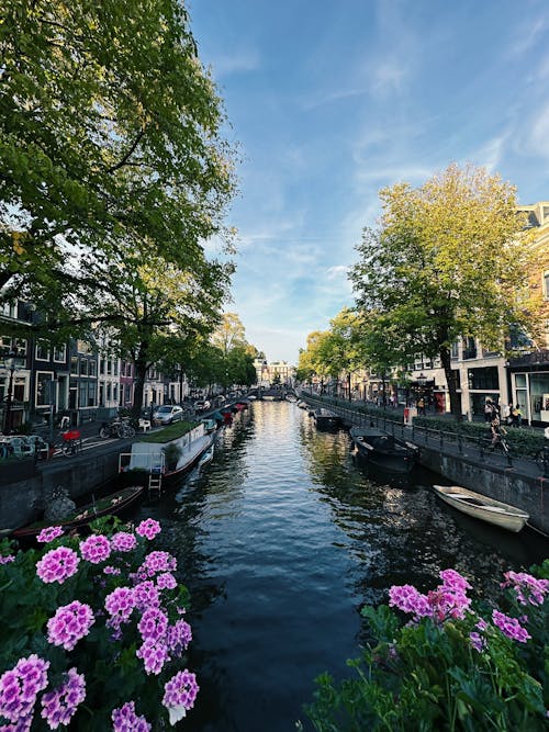 アムステルダム, オランダ, ブリッジの無料の写真素材