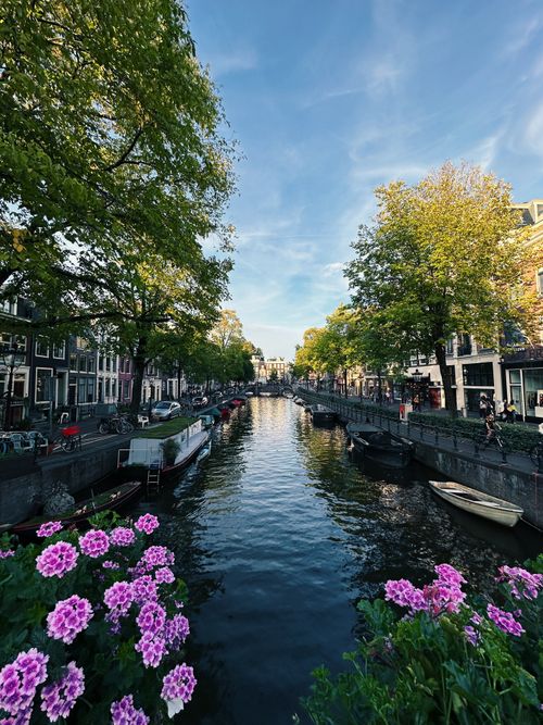 Free A vibrant view of Amsterdam's canal, lined with trees and surrounded by historic architecture. Stock Photo