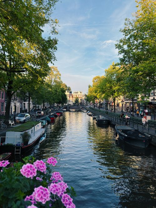 Free Beautiful Amsterdam canal scene with pink flowers, historic buildings, and tranquil water. Stock Photo
