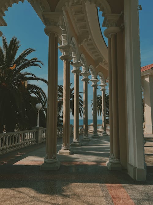 Columns Among Palms in Sunlight 