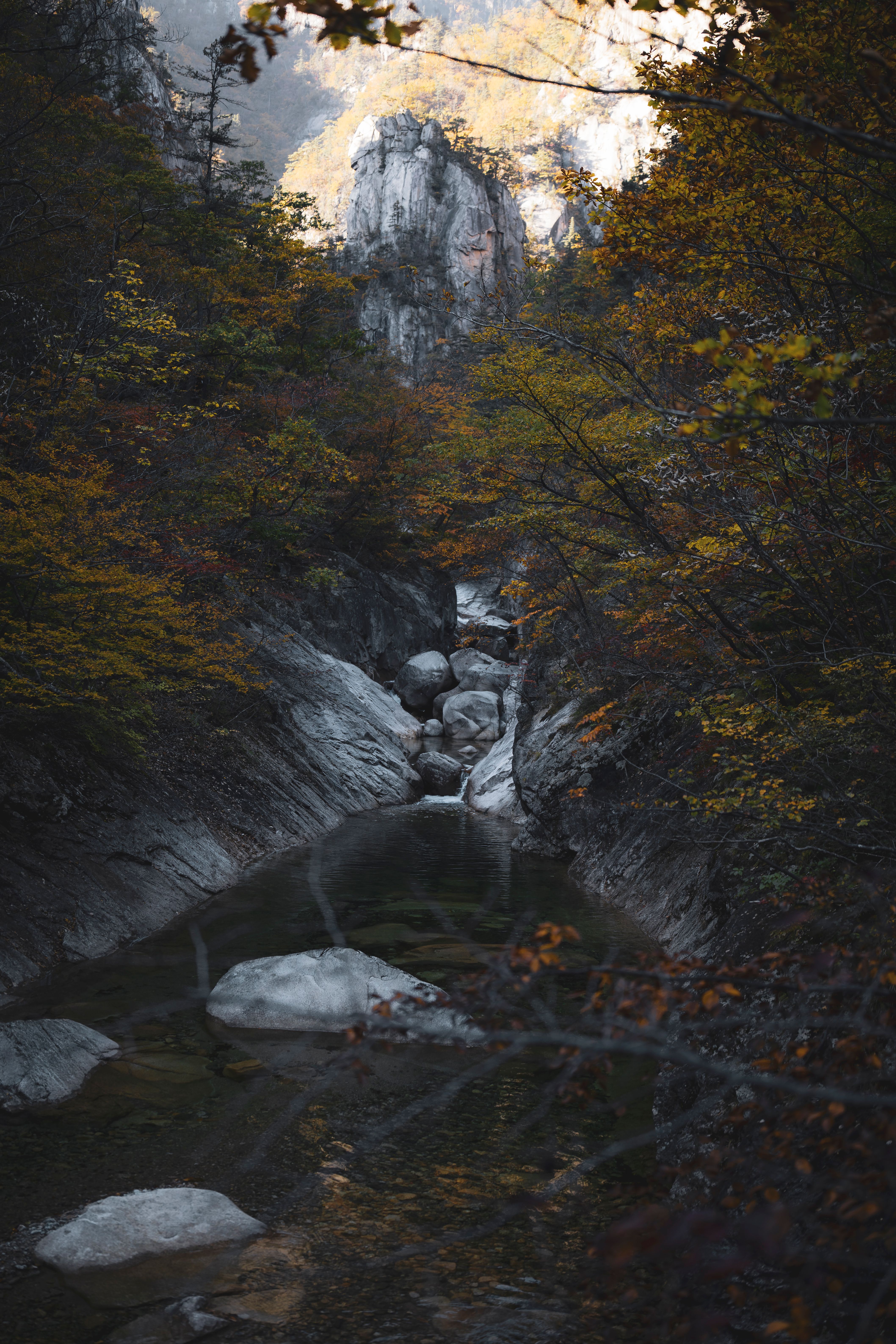 Creek between Rocks in Mountains · Free Stock Photo