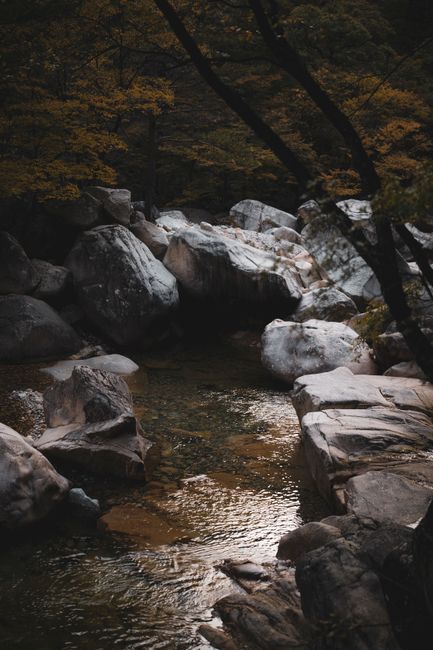 A tranquil stream flows between boulders and fall foliage in Sokcho-si, Korea, capturing the essence of autumn.