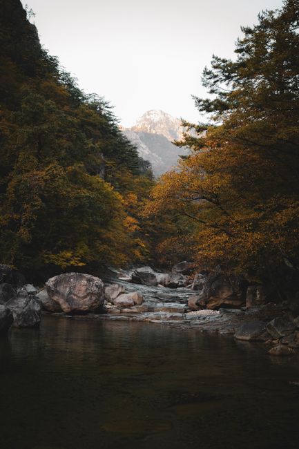 Tranquil scene of a mountain river and vibrant autumn foliage in Gangwon-do, South Korea.