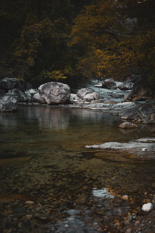 Free Peaceful autumn setting of a creek surrounded by rocks and colorful trees in Sokcho, South Korea. Stock Photo