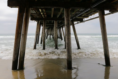 Wooden Beams under Pier on Sea Shore