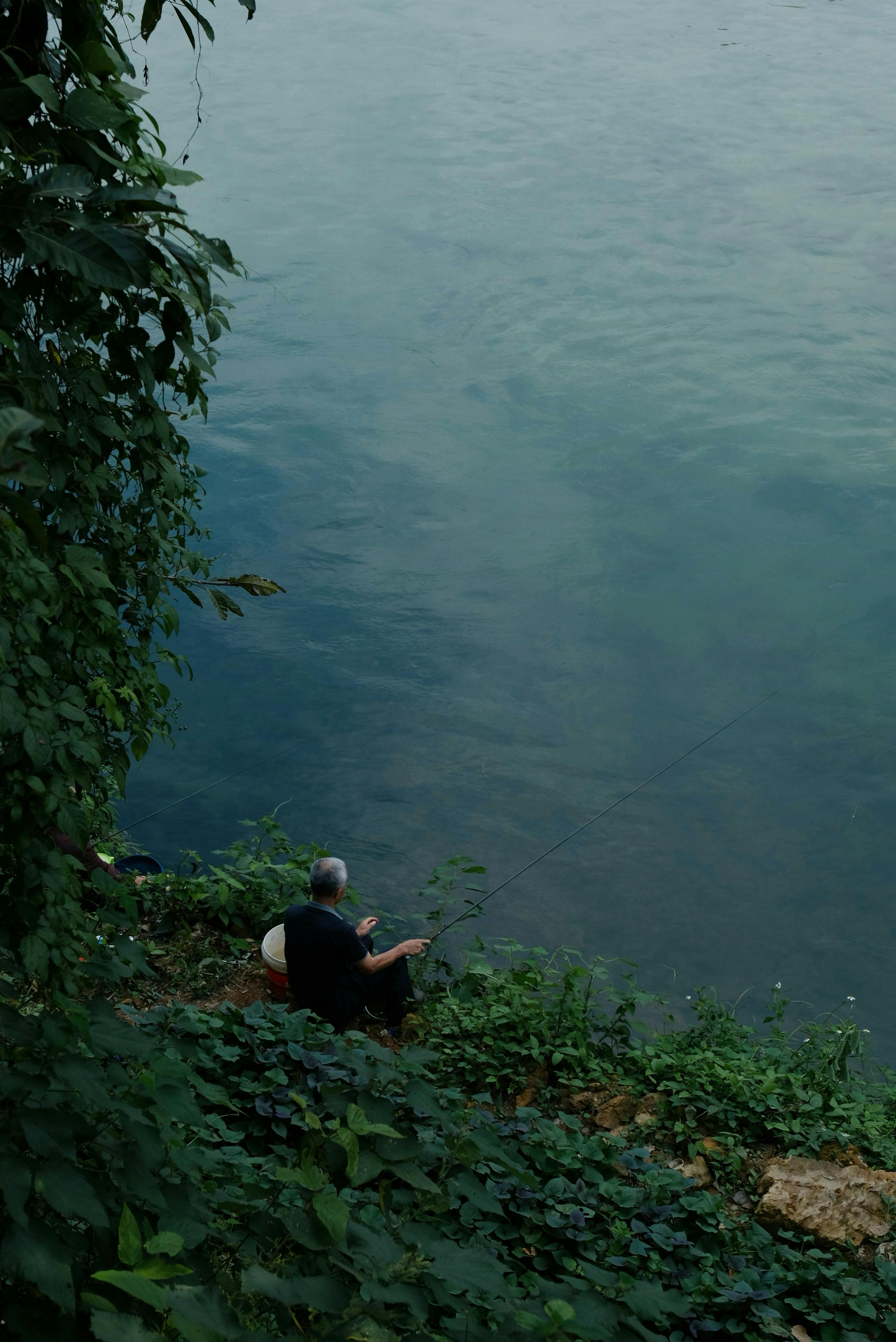 An adult man fishing peacefully by a calm riverbank surrounded by lush greenery.