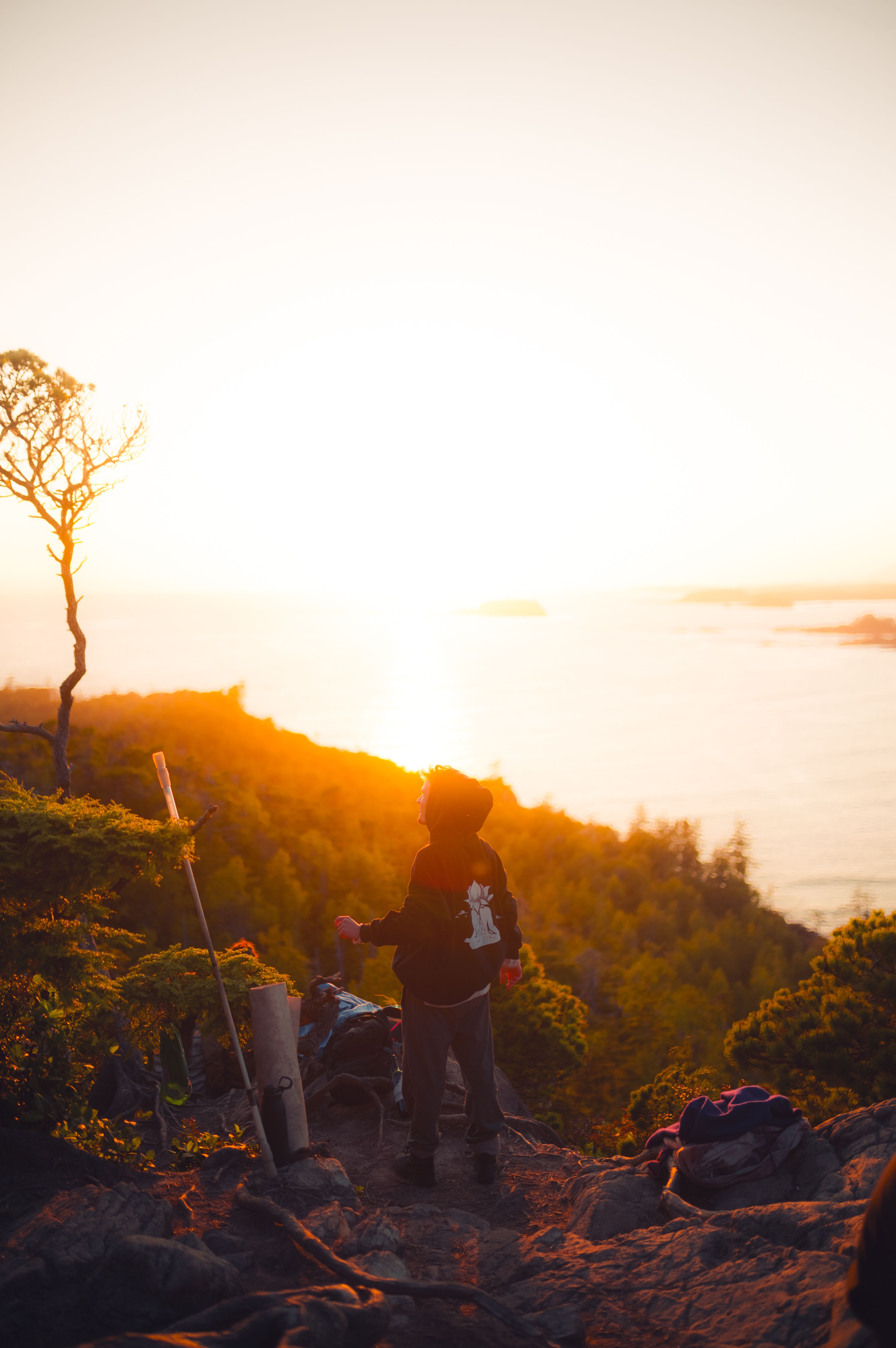 things to do in acadia