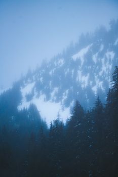 A moody and atmospheric winter scene with a foggy forest and snow-covered mountain slope.