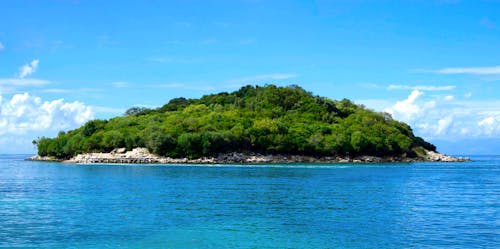 免费 晴朗的天空下的绿树覆盖的岛屿 素材图片