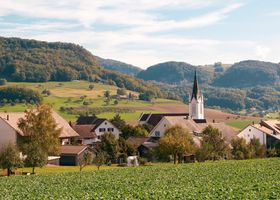 Foto: Thomas P · Pexels