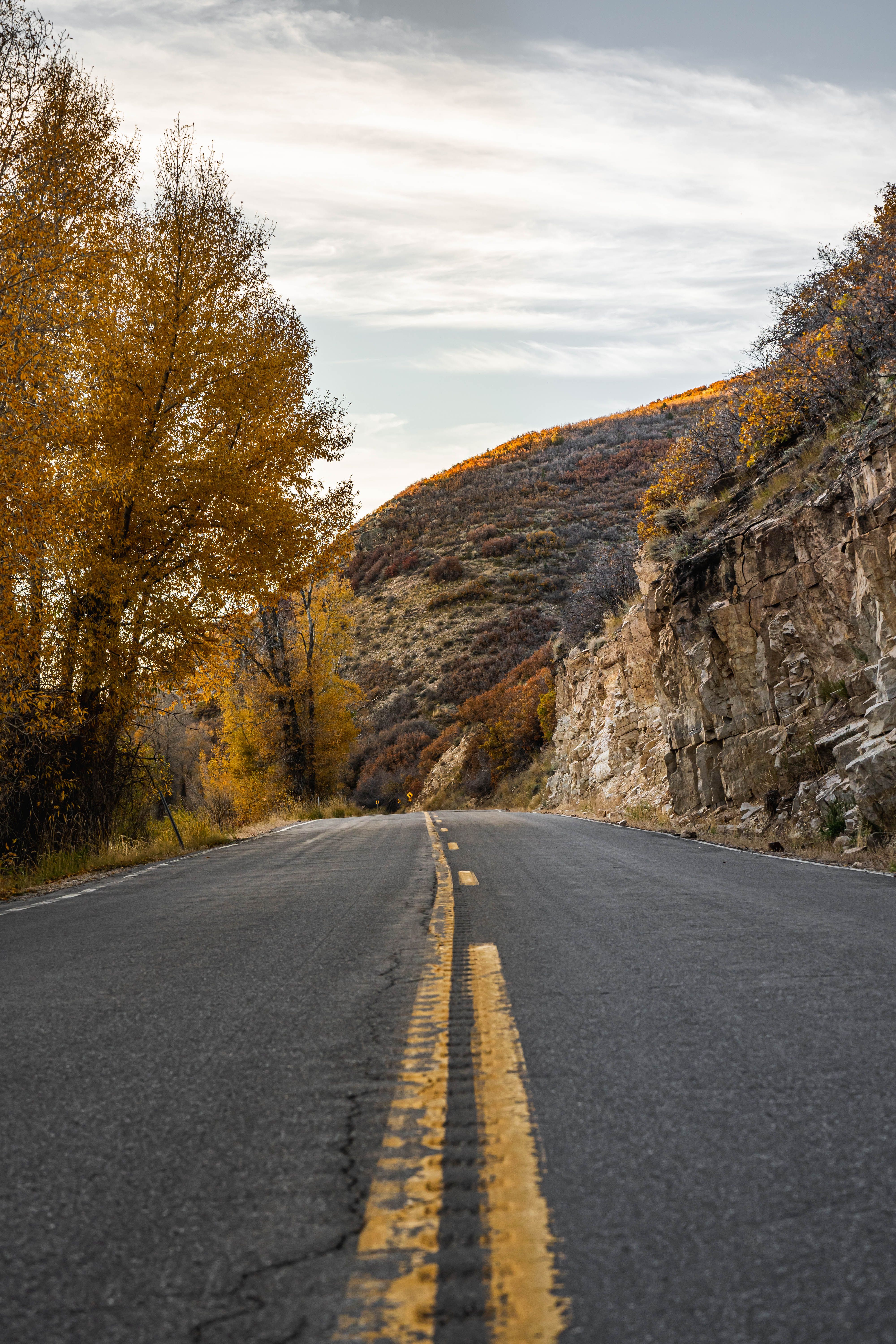 Mountain Asphalt Road in Autumn · Free Stock Photo
