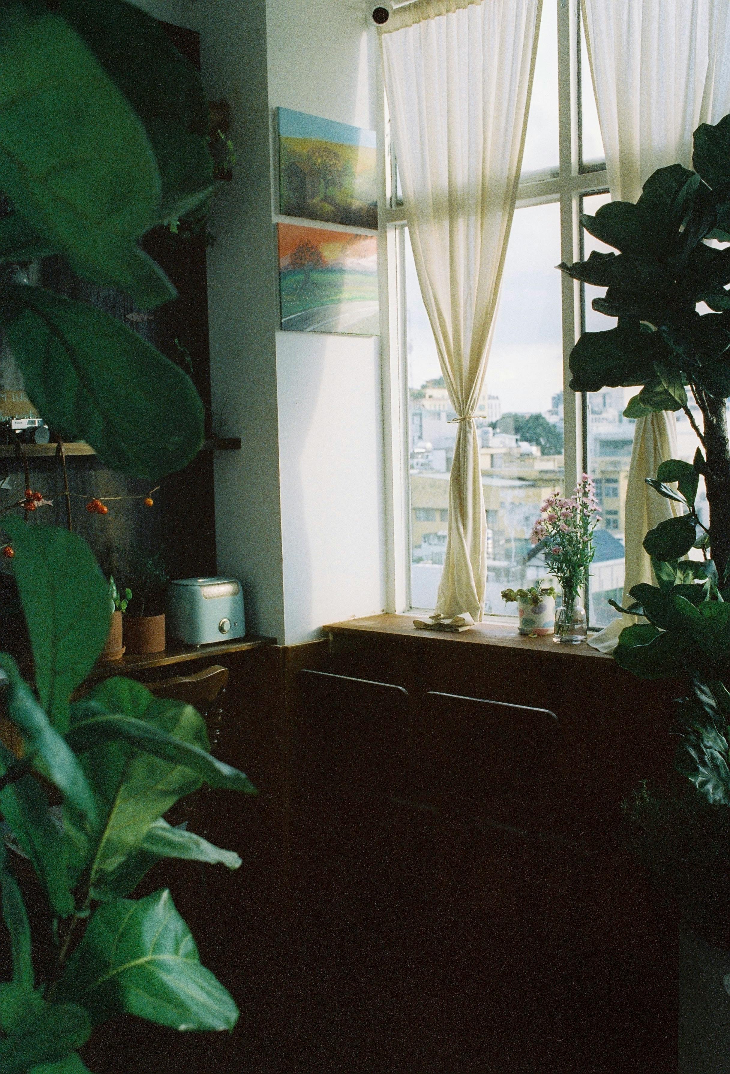 A cozy room filled with lush plants and soft natural light filtering through sheer curtains.