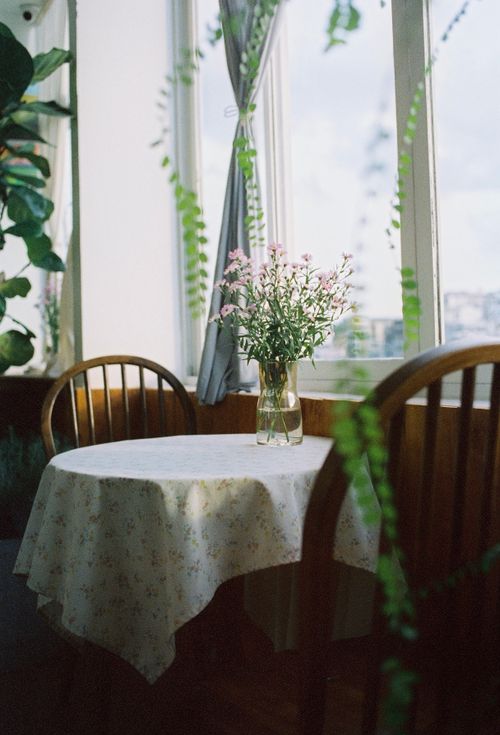 Free A cozy table setting by the window with flowers and natural light. Stock Photo