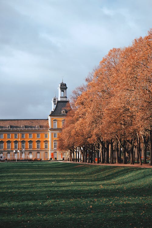 Fotos de stock gratuitas de Alemania, arboles, bonn