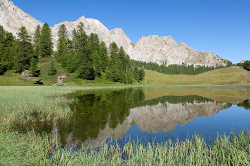 Foto d'estoc gratuïta de arbres, fons de pantalla, llac