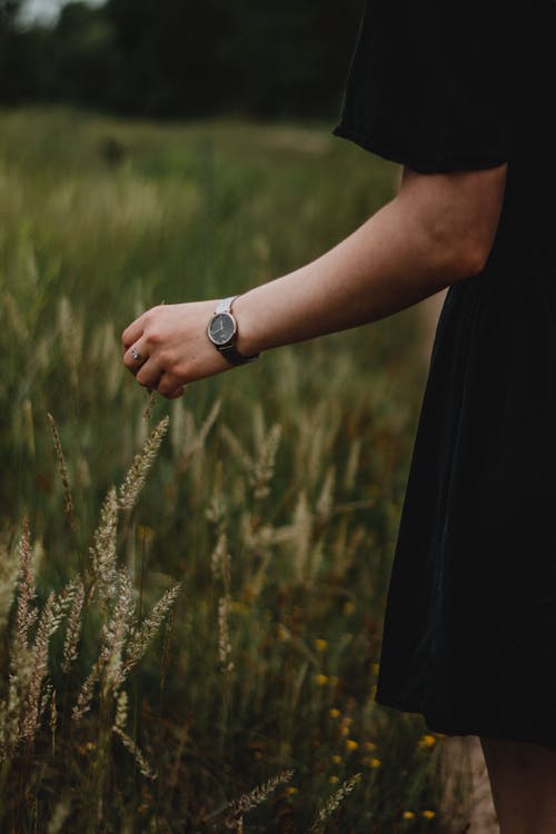 Arm of a Woman Wearing a Wristwatch
