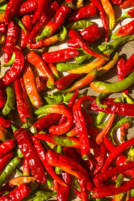 Vibrant red calabrian chili peppers filling the frame, fresh and whole`