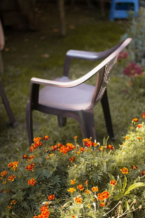 Free Plastic garden chair amidst vibrant marigolds creating a serene outdoor setting. Stock Photo