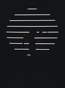 在黑白设计的水平条纹映照下，黑色轮廓缓缓移动