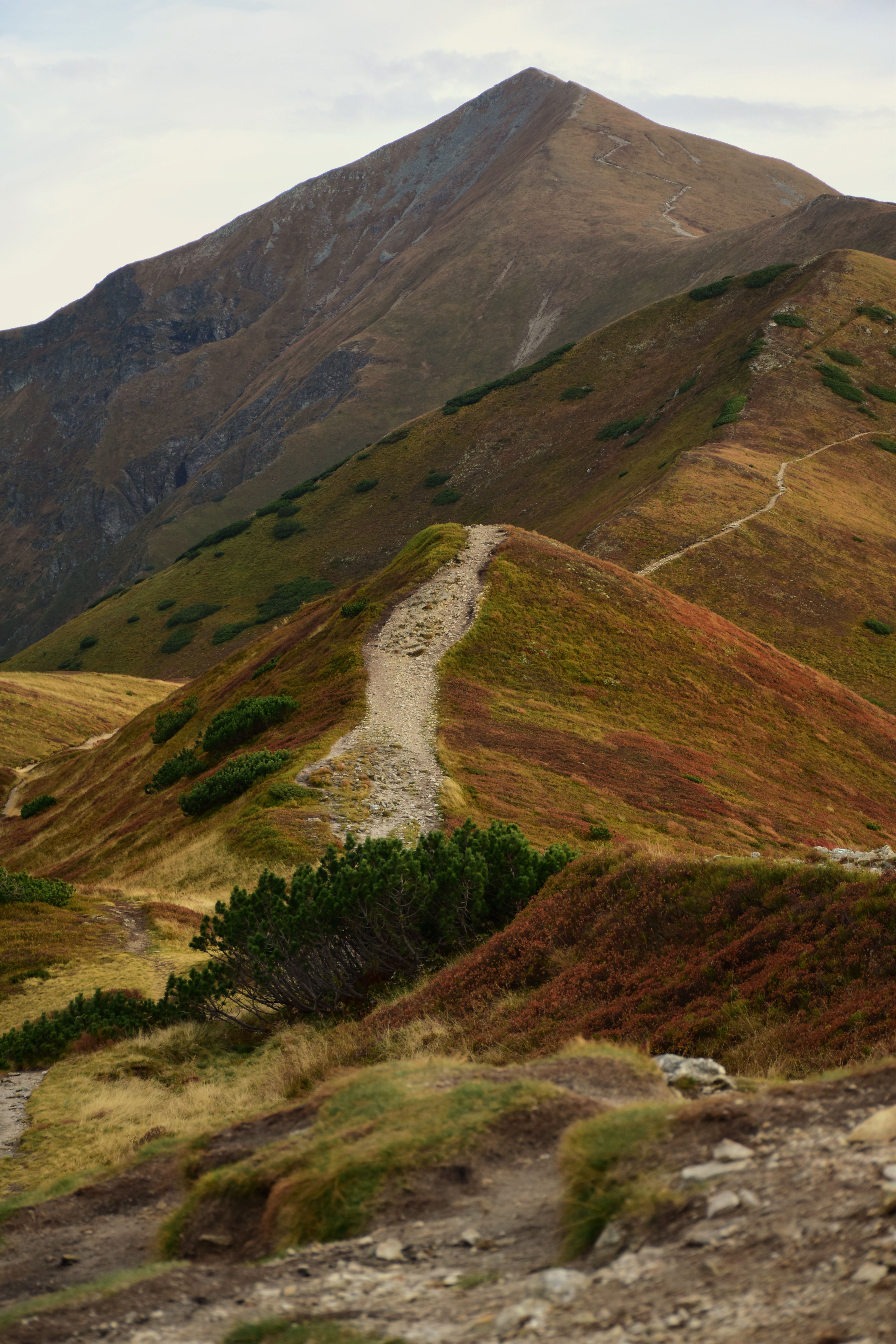 Explore a picturesque mountain path in stunning autumn colors, perfect for hiking trails.