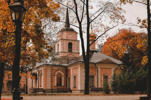 Δωρεάν στοκ φωτογραφιών με Pokrovskoye-Streshnevo, αστικός, δέντρα