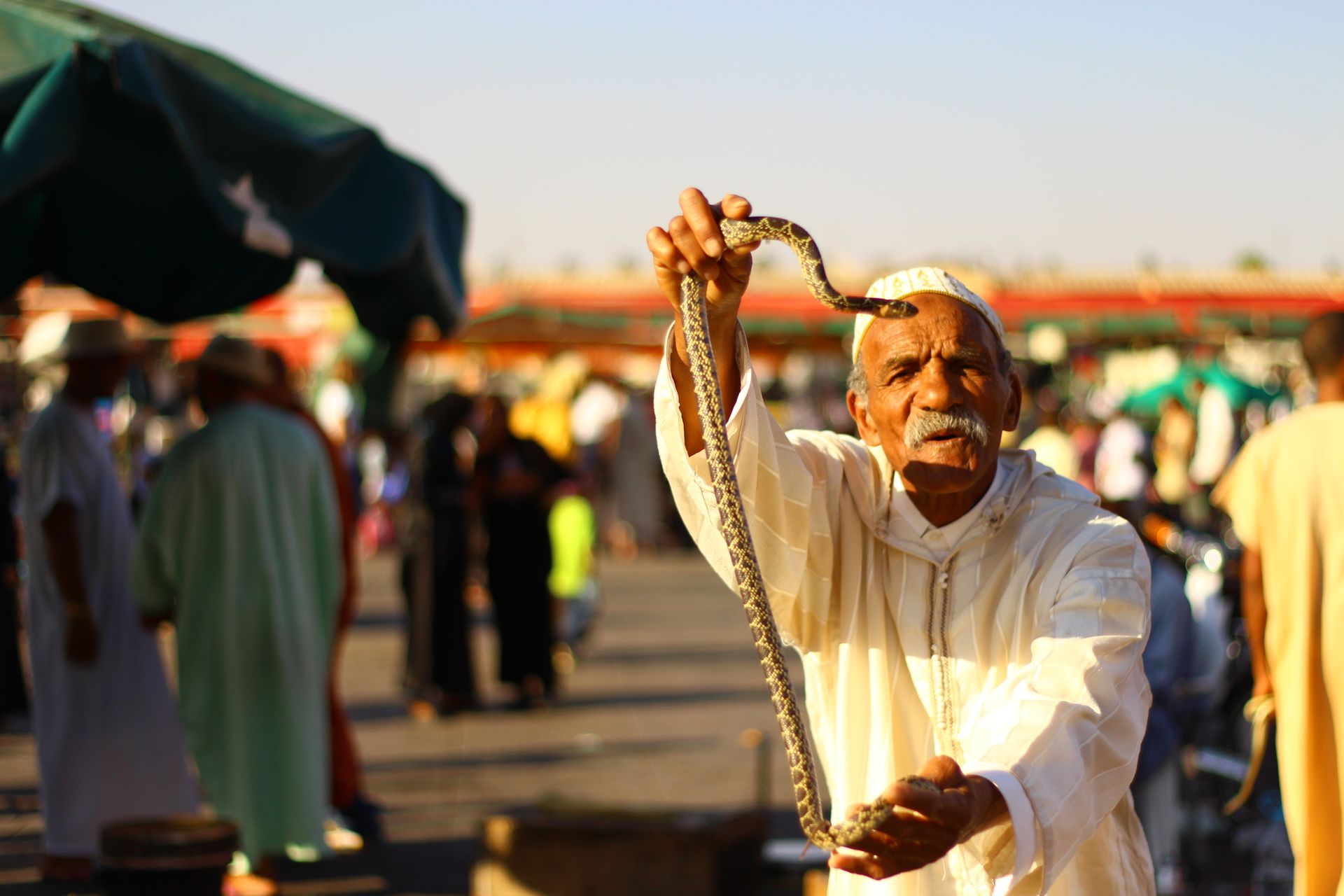 Old man with snake