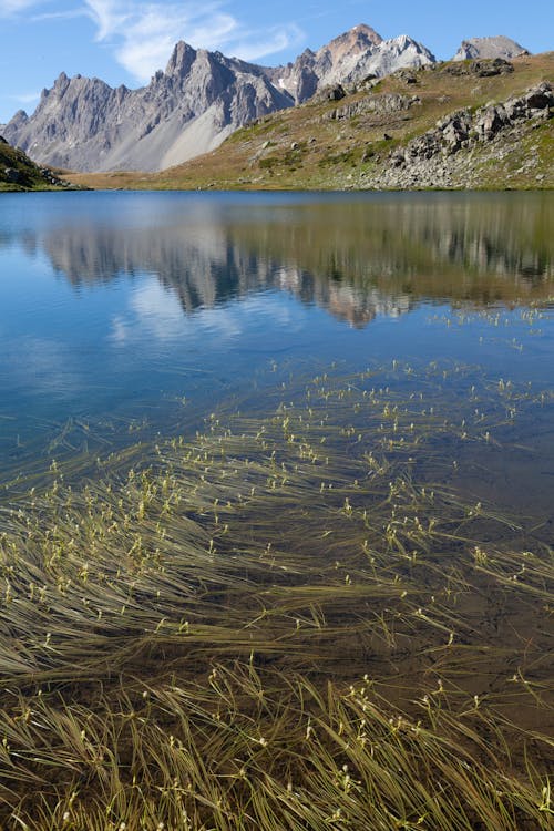 Základová fotografie zdarma na téma hory, jezero, krajina