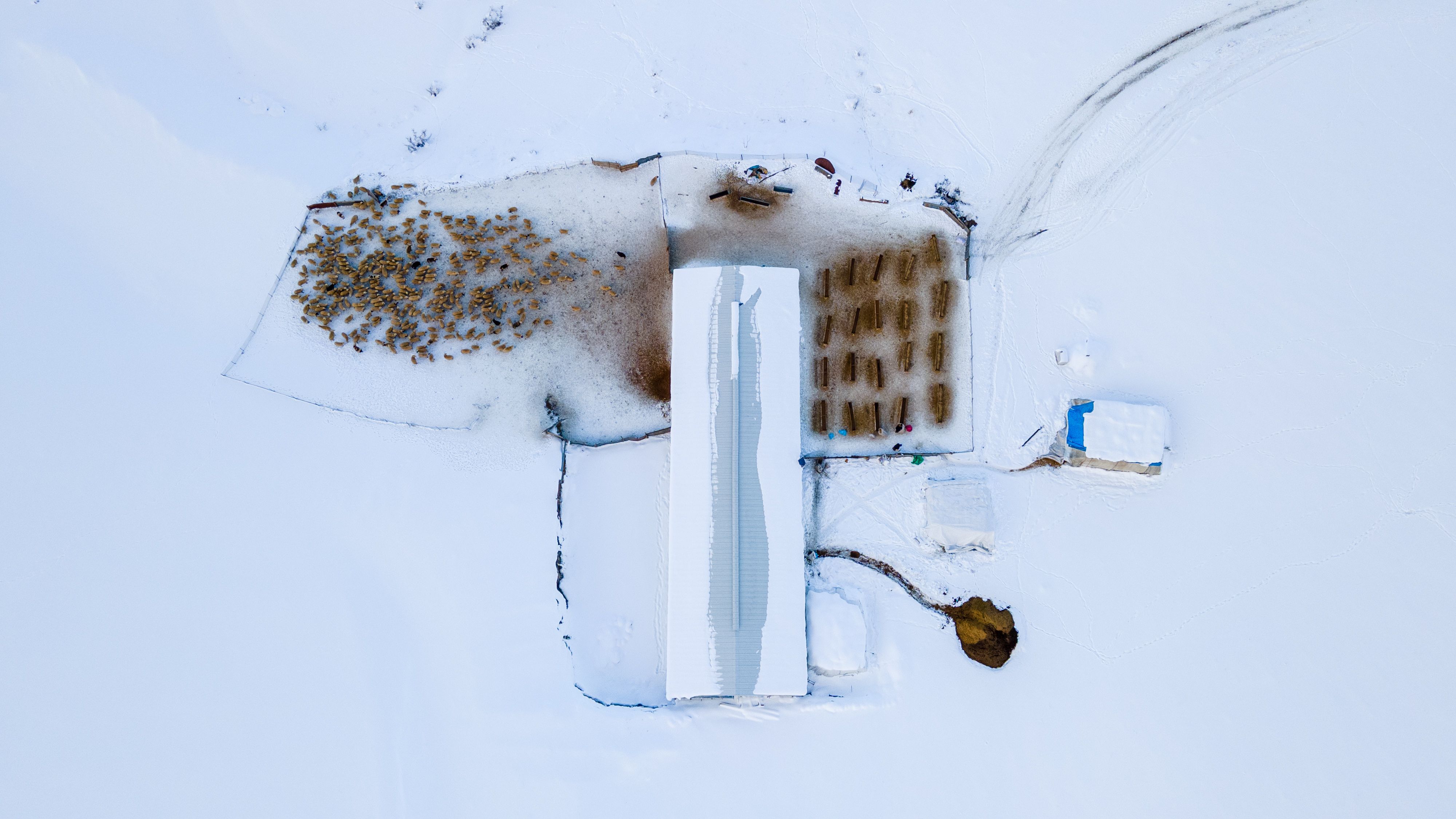 Frost on tobacco barns outside Springfield in January