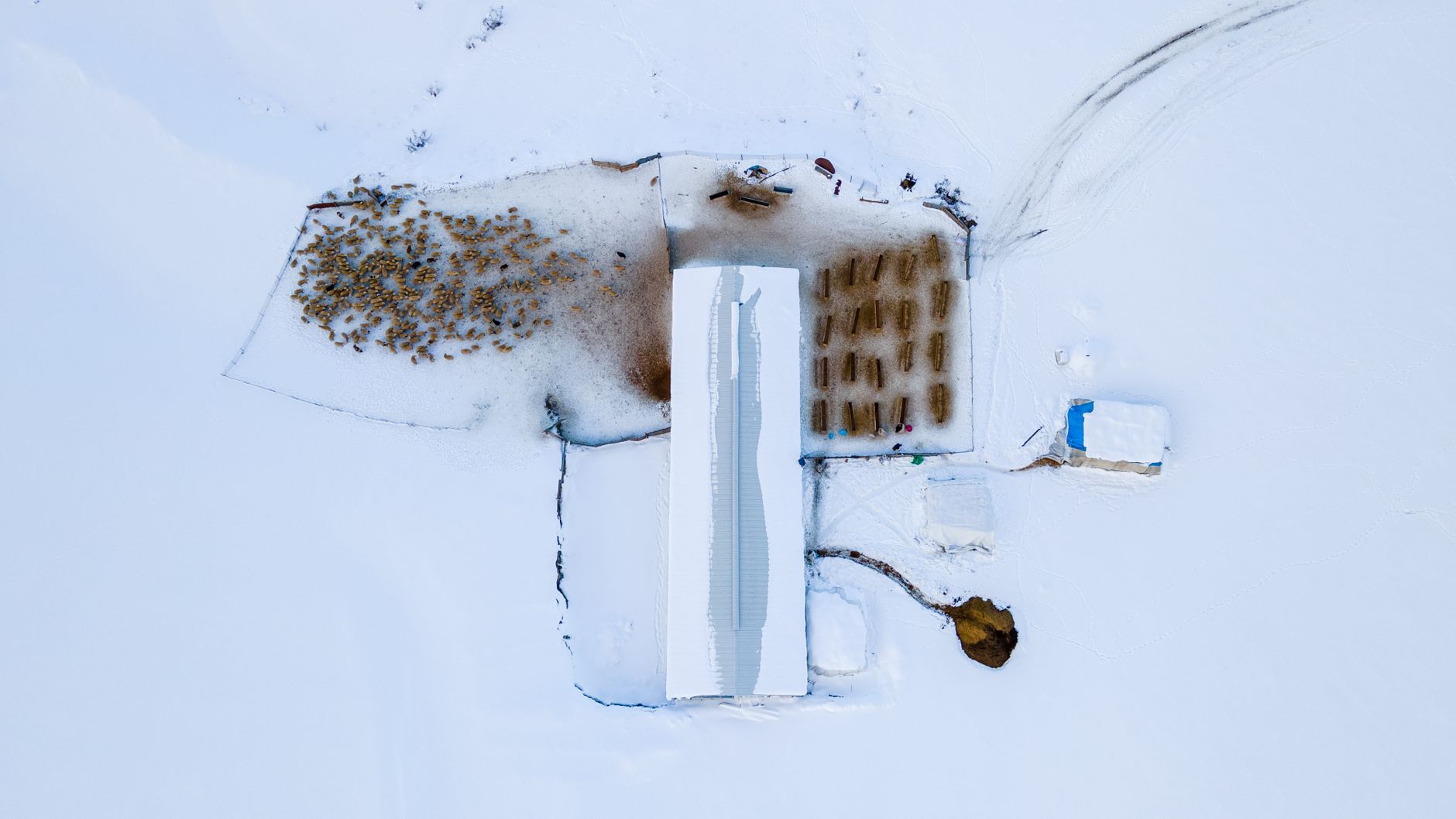 Frost on tobacco barns outside Springfield in January
