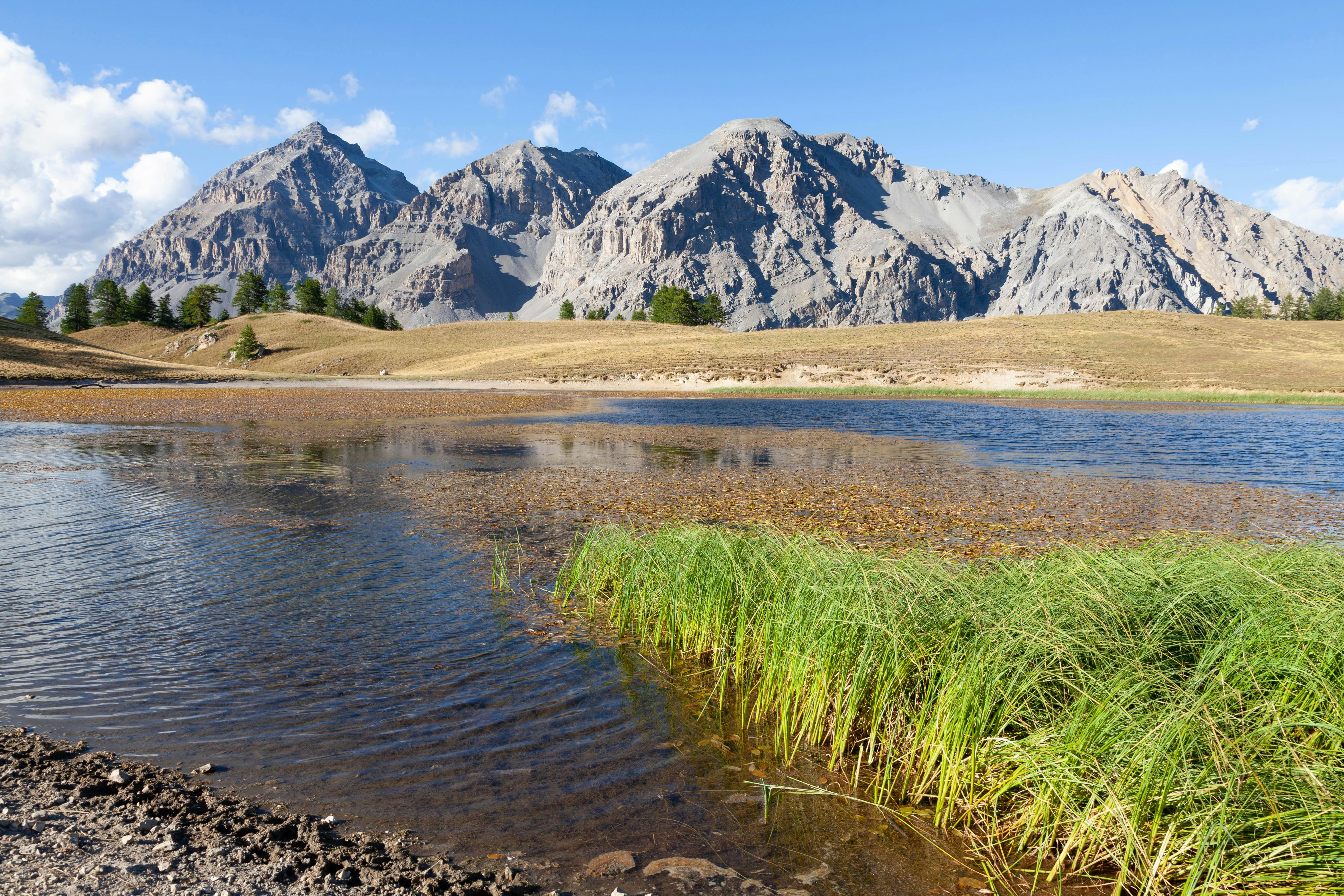 Policy Brief: Outdoor Recreation and Public Health — Photo by PHILIPPE SERRAND on Pexels