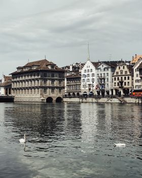 Serene view of Zurich's historic waterfront with classic architecture and swans.
