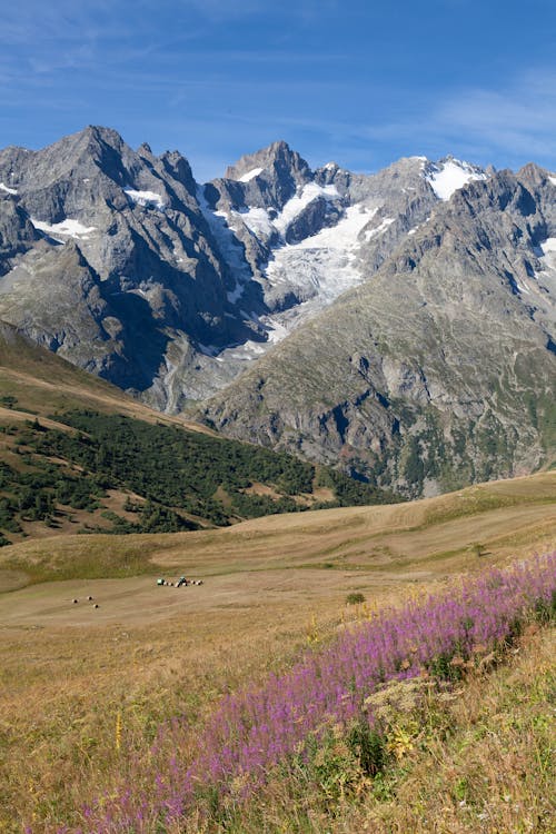 Foto d'estoc gratuïta de alpí, alps, Europa