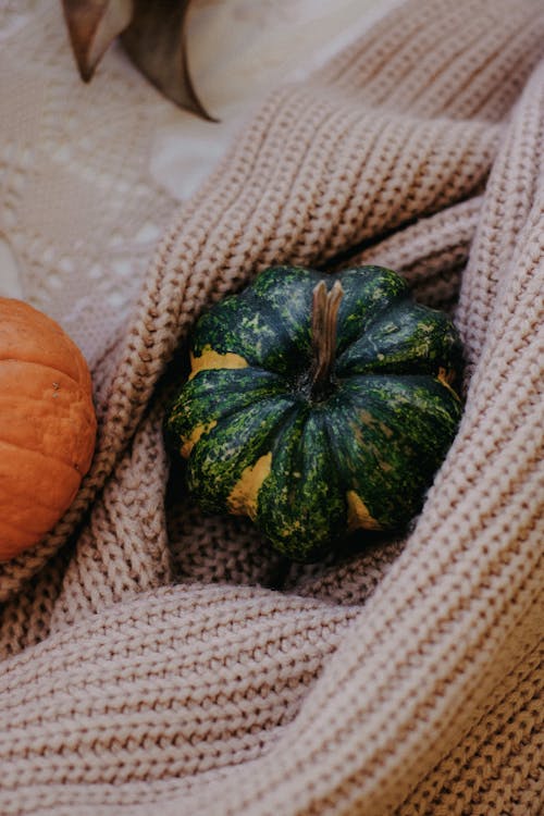 Pumpkin on Blanket