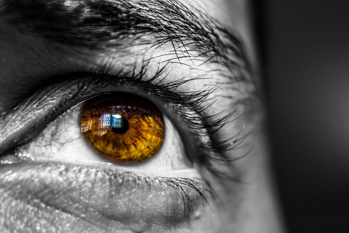 Dramatic macro of a human eye with an amber-gold iris