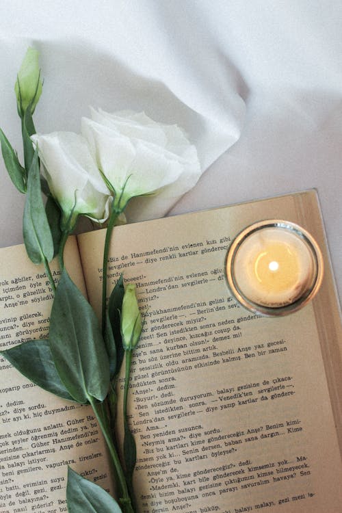 A Flower on a Book