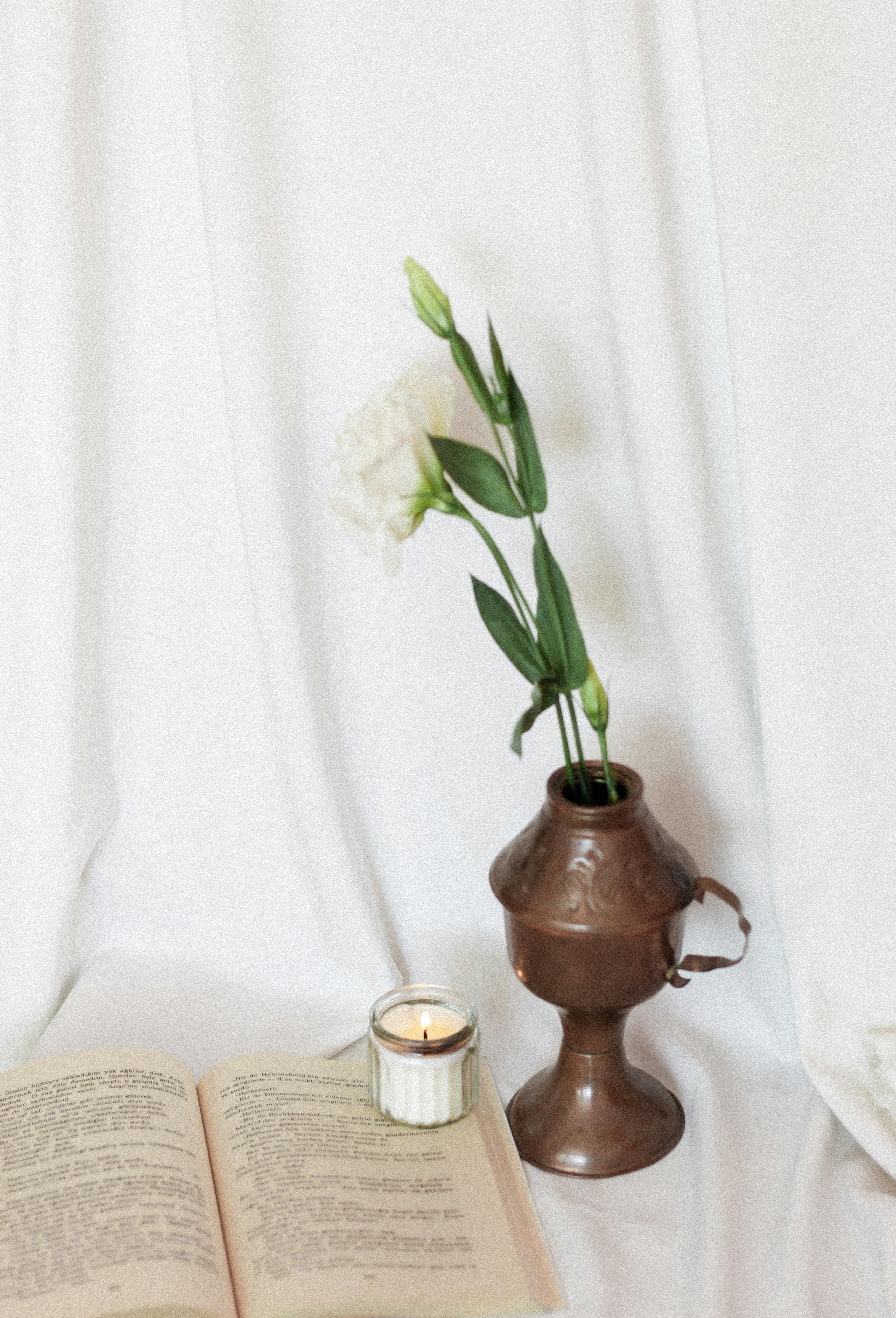 A Flower in a Vase and a Book · Free Stock Photo
