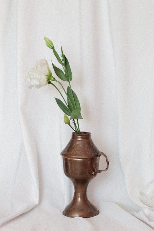 A Flower in a Vase 