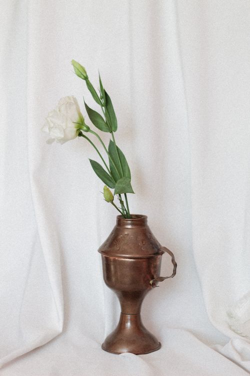 Free A minimalist still life capturing a single white rose in an antique bronze vase against a soft white backdrop. Stock Photo