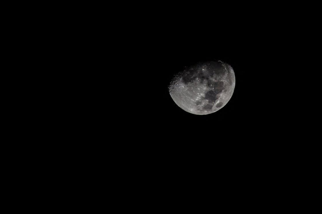 Kostnadsfria Kostnadsfri bild av måne, månsken, mörk Stock foto