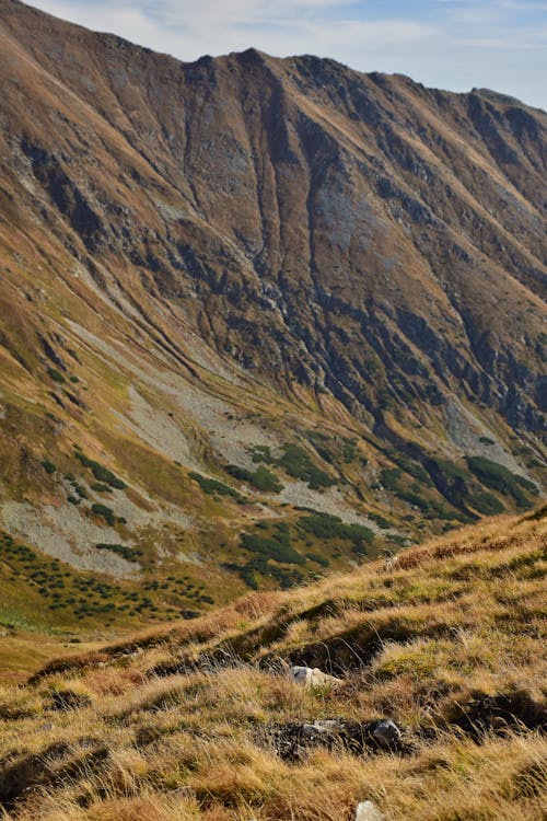 View of a Mountain