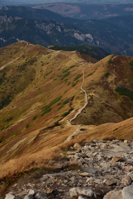 Discover a serene footpath winding through a breathtaking mountain landscape, perfect for nature lovers.